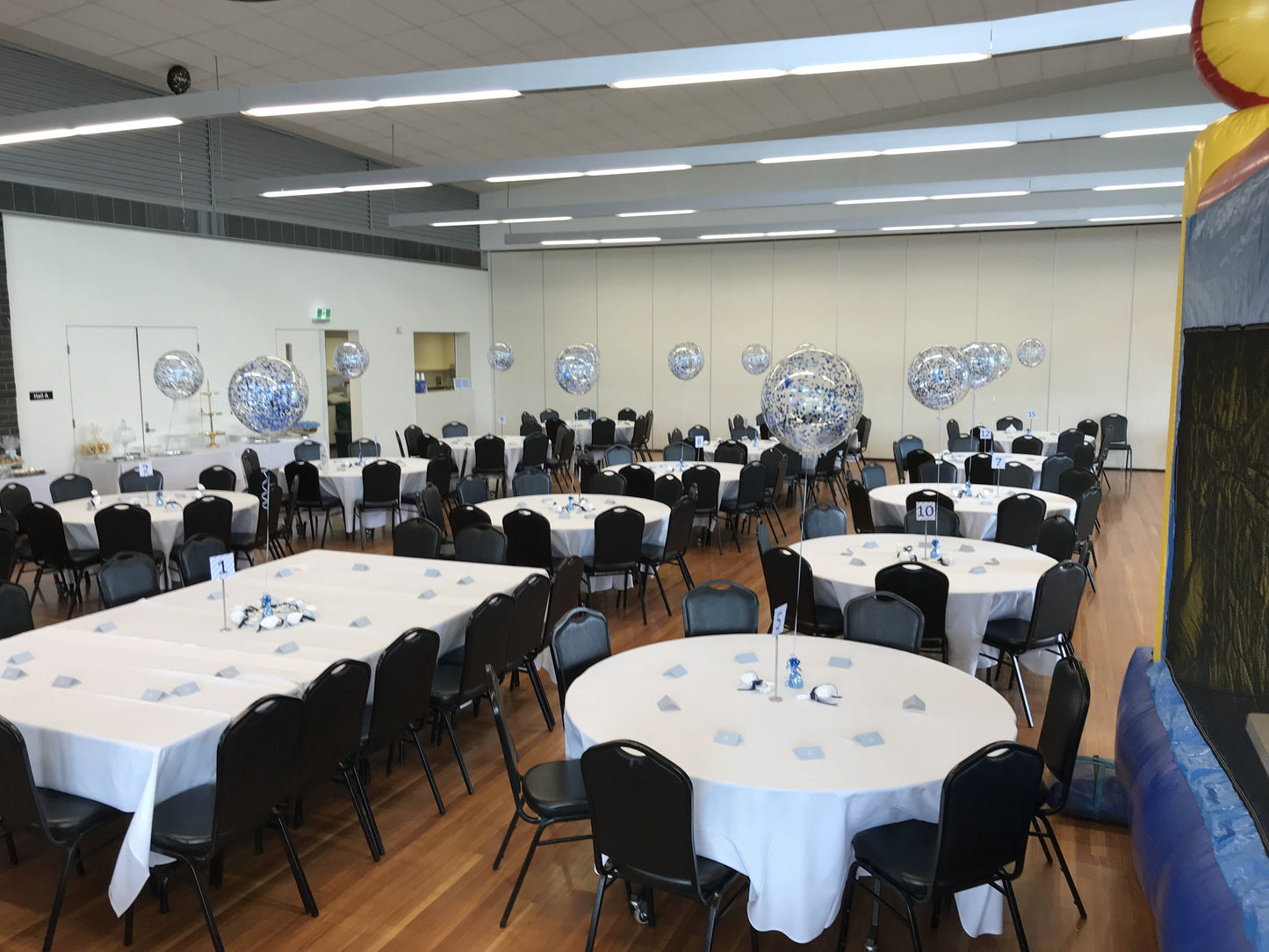 17 Inch Confetti Balloon