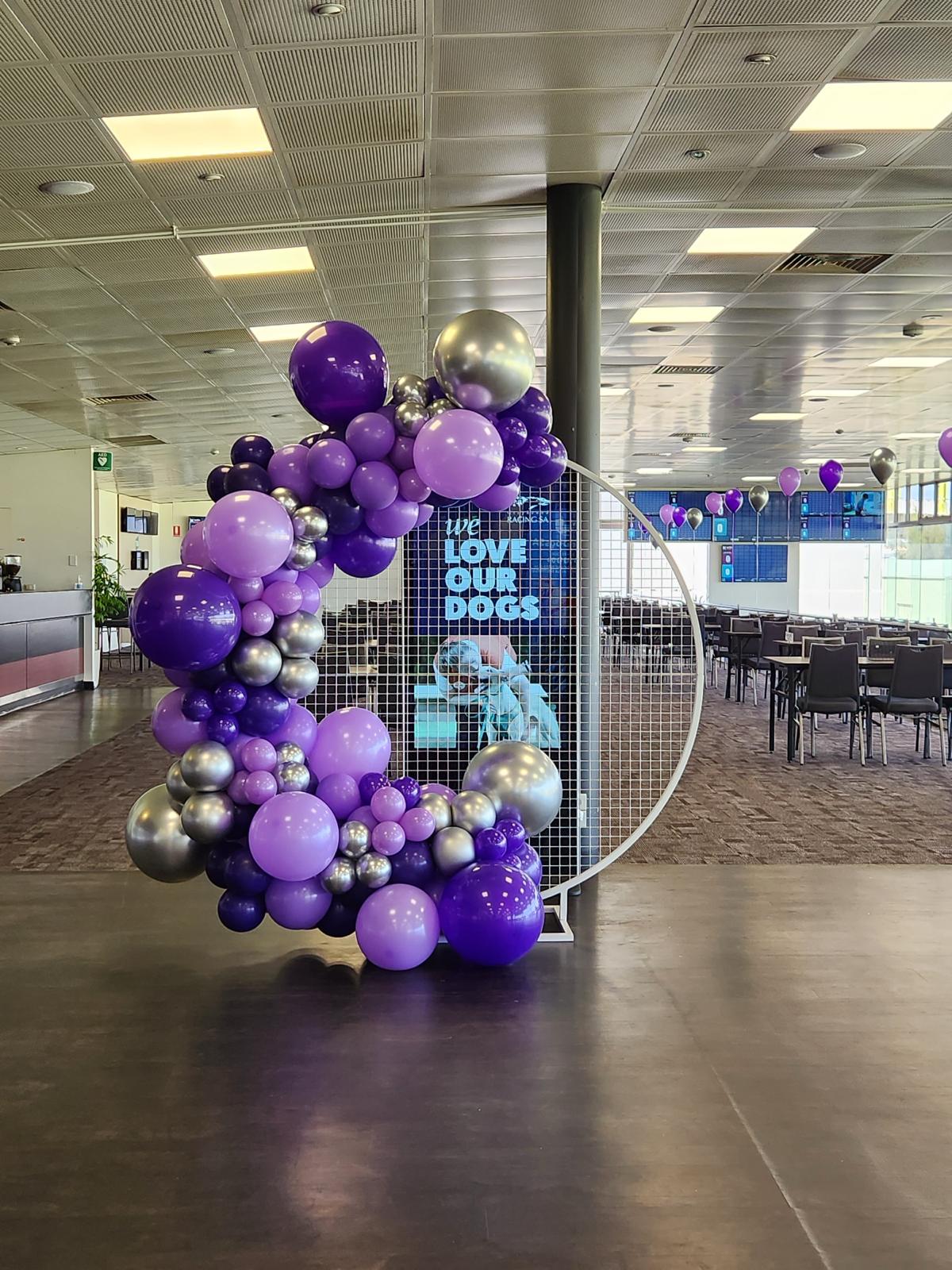 Balloon Garland Sydney #101